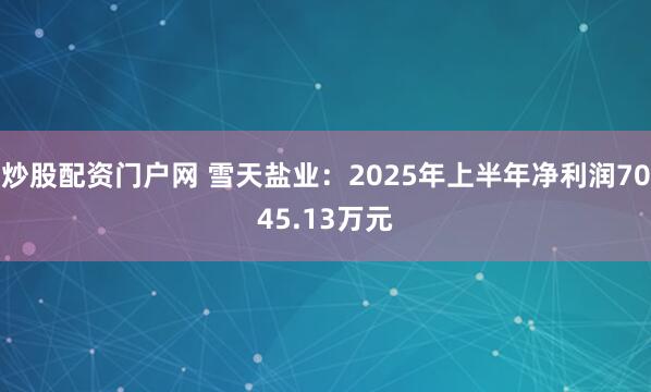 炒股配资门户网 雪天盐业：2025年上半年净利润7045.13万元